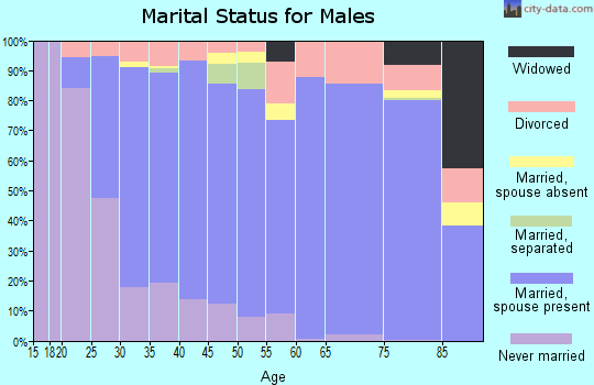 Zip code 92203 marital status for males