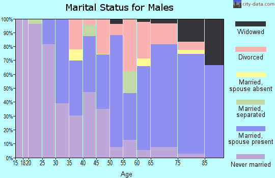 Zip code 92241 marital status for males