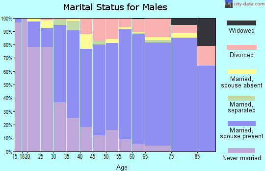 Zip code 92253 marital status for males
