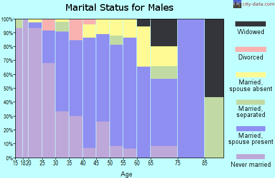 Zip code 92254 marital status for males