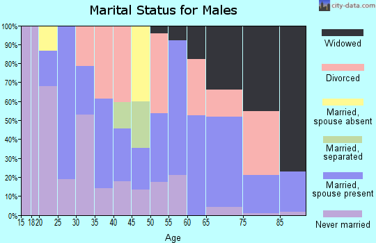 Zip code 92256 marital status for males