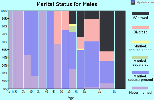 Zip code 92257 marital status for males