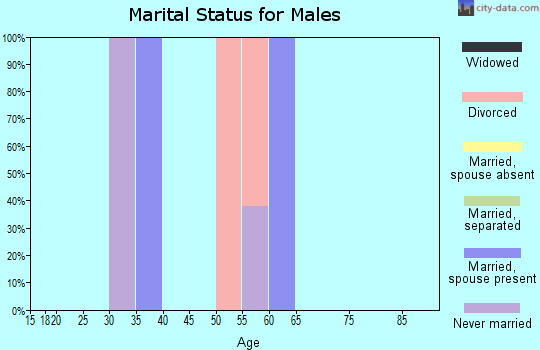 Zip code 92258 marital status for males