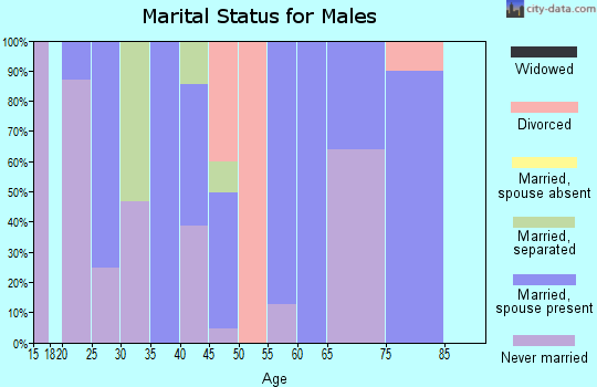 Zip code 92273 marital status for males