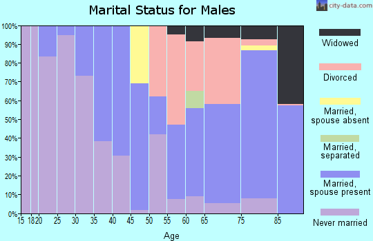 Zip code 92276 marital status for males