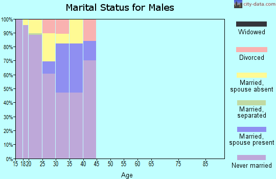Zip code 92278 marital status for males