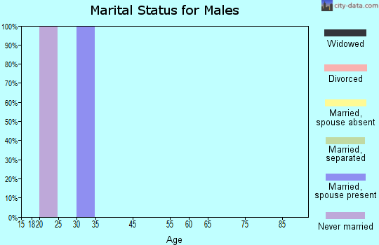 Zip code 92280 marital status for males