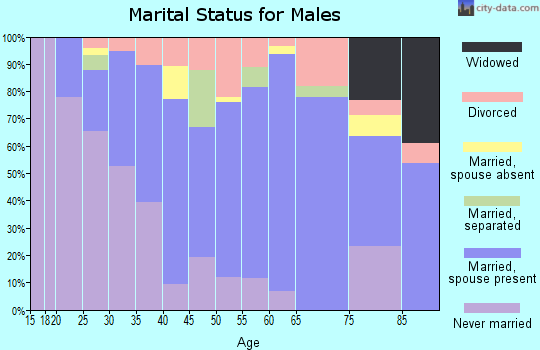 Zip code 92313 marital status for males