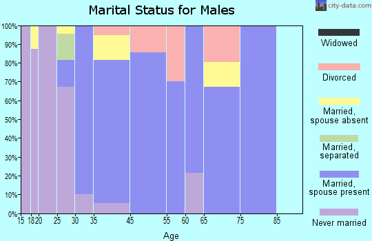 Zip code 92317 marital status for males