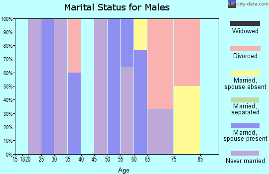 Zip code 92328 marital status for males