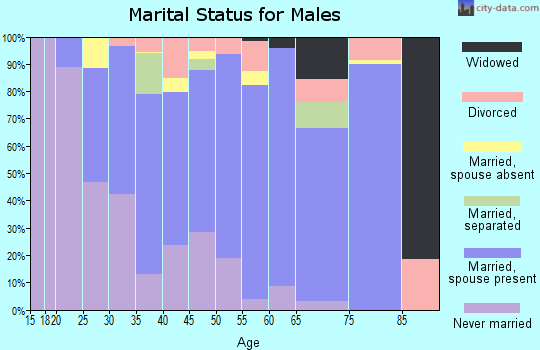 Zip code 92377 marital status for males
