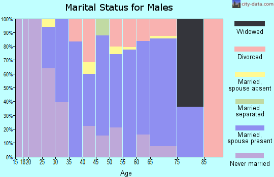 Zip code 92382 marital status for males