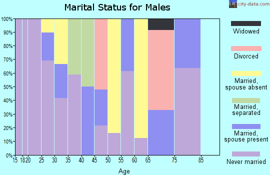 Zip code 92401 marital status for males