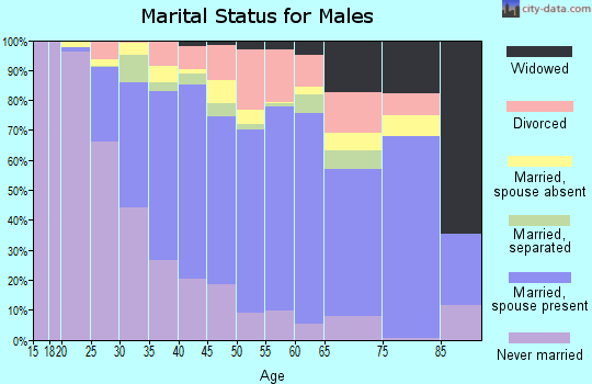 Zip code 92407 marital status for males