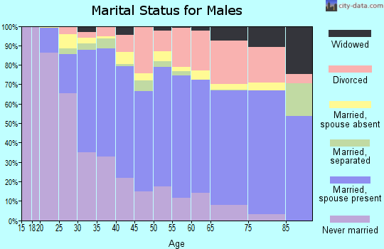 Zip code 92504 marital status for males