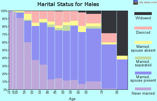 Zip code 92505 marital status for males