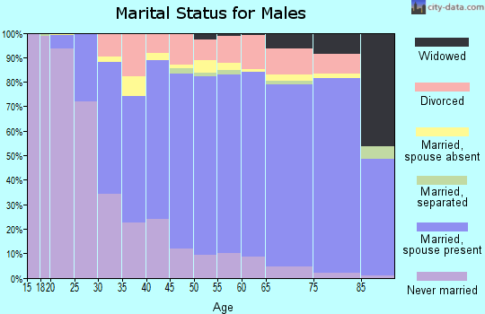 Zip code 92506 marital status for males