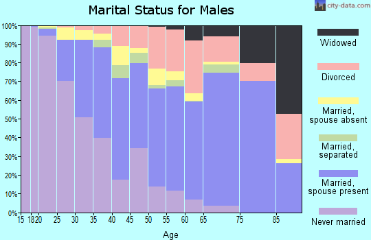 Zip code 92507 marital status for males