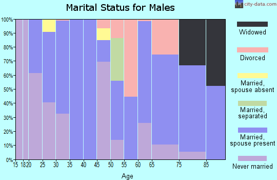 Zip code 92539 marital status for males