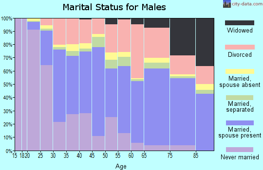 Zip code 92543 marital status for males