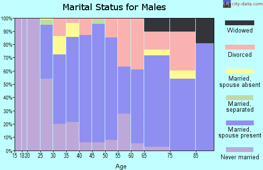 Zip code 92582 marital status for males
