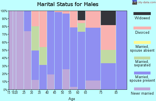 Zip code 92590 marital status for males