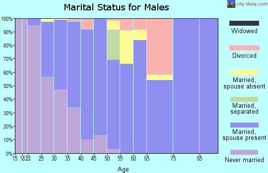 Zip code 92602 marital status for males