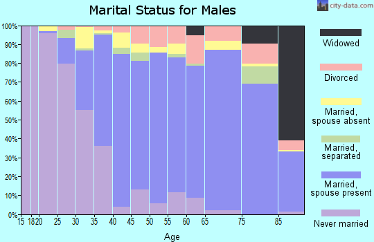 Zip code 92653 marital status for males