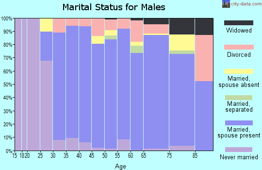 Zip code 92673 marital status for males