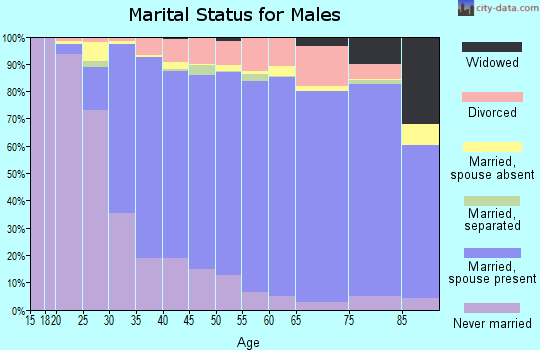 Zip code 92677 marital status for males