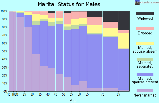 Zip code 92804 marital status for males