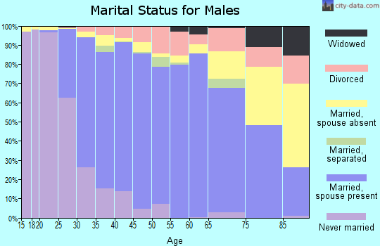 Zip code 92880 marital status for males