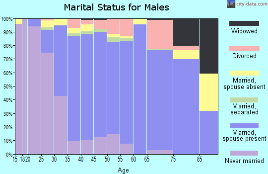 Zip code 92881 marital status for males