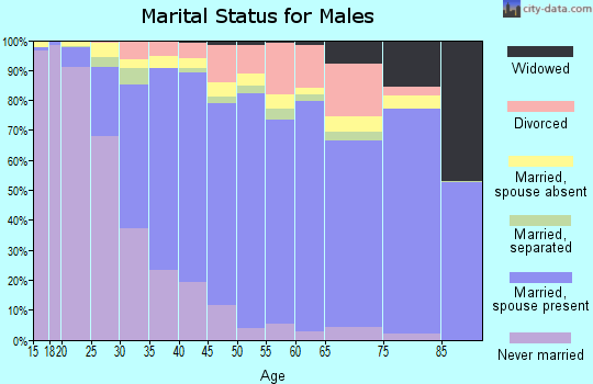 Zip code 92882 marital status for males