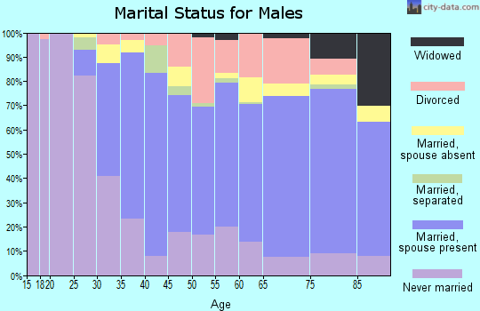 Zip code 93023 marital status for males