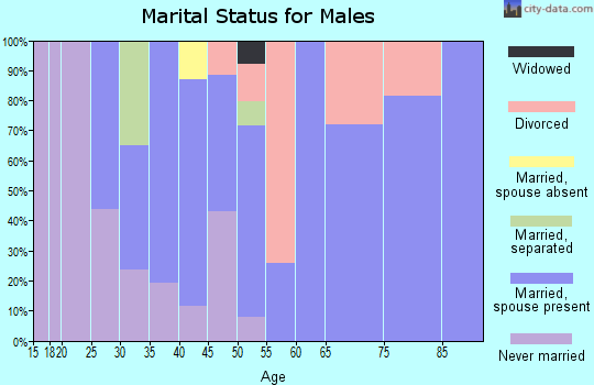 Zip code 93040 marital status for males