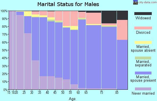 Zip code 93065 marital status for males
