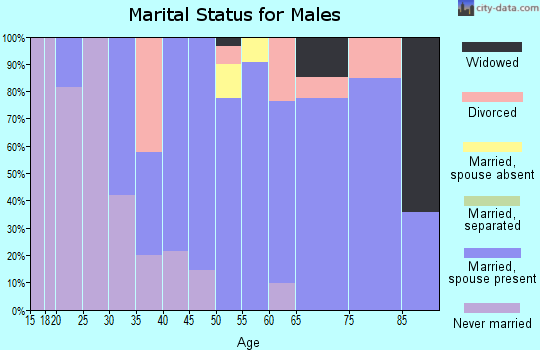 Zip code 93066 marital status for males