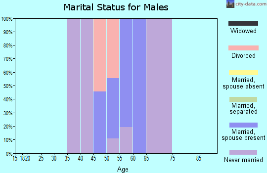 Zip code 93067 marital status for males