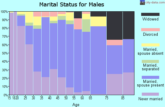 Zip code 93203 marital status for males