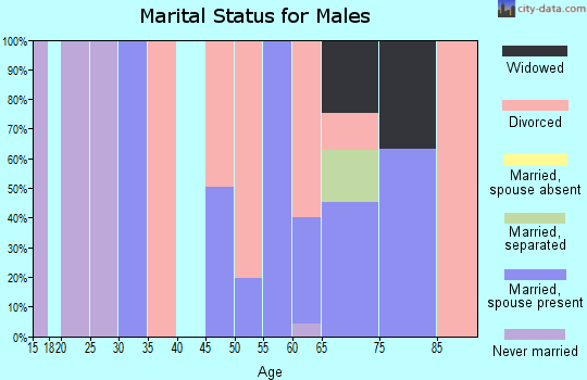 Zip code 93205 marital status for males