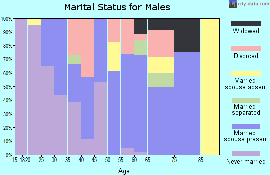 Zip code 93206 marital status for males