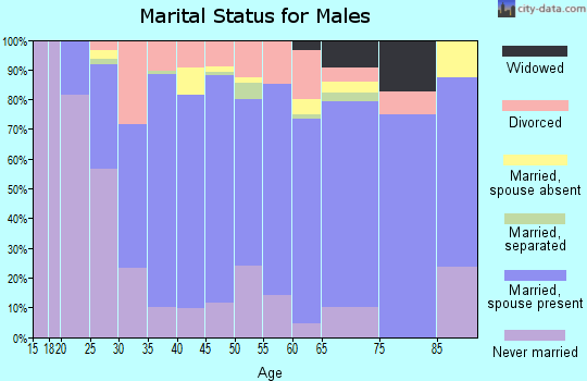 Zip code 93221 marital status for males