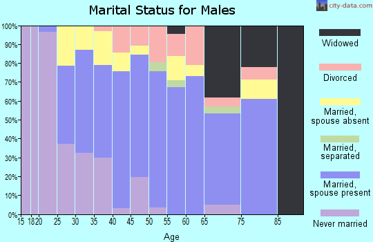Zip code 93223 marital status for males