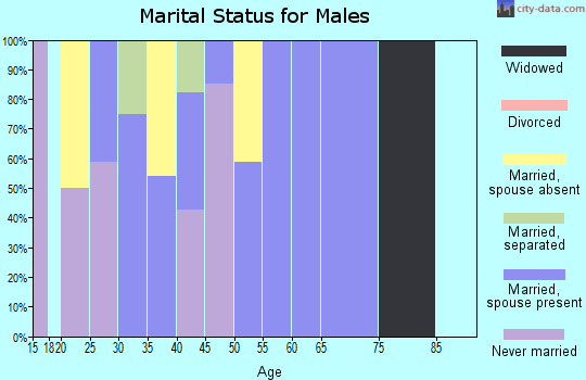 Zip code 93239 marital status for males
