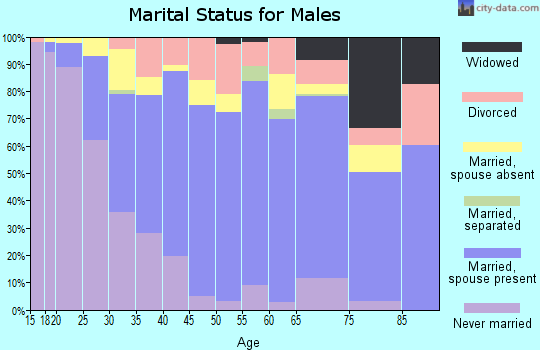 Zip code 93247 marital status for males