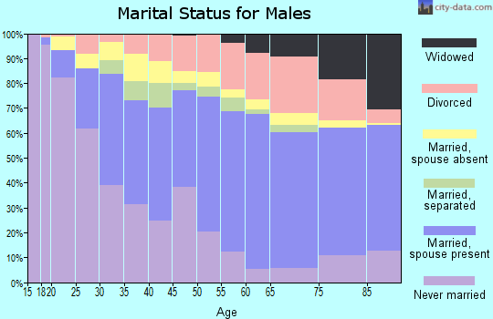 Zip code 93304 marital status for males