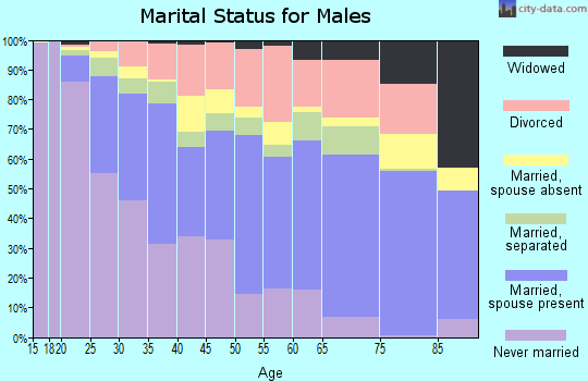 Zip code 93305 marital status for males