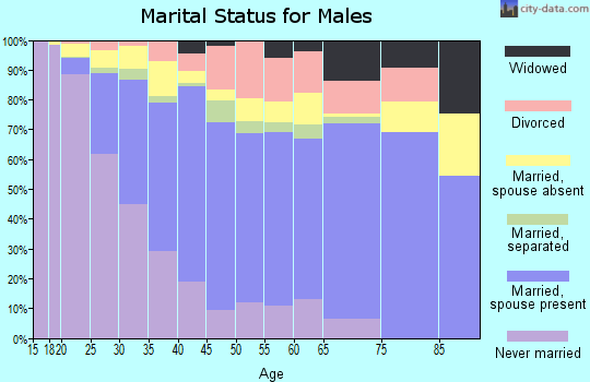 Zip code 93307 marital status for males