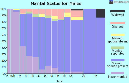 Zip code 93311 marital status for males